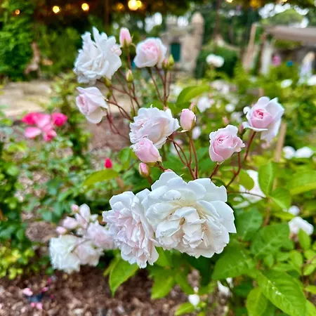 Casa Grande, Historic By The Sea, In The Sea Vila *