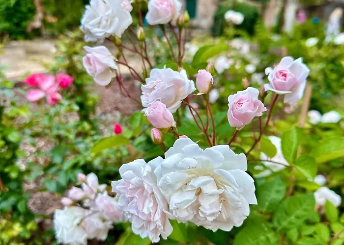 Casa Grande, Historic By The Sea, In The Sea Вилла *